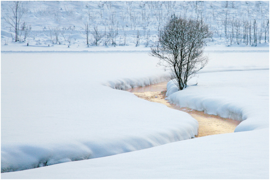 03_Winter